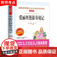 爱丽丝漫游奇境记正版书原著版六年级下册必读的课外书小学生书目阅读书籍6下学期天地出版社梦游仙境书奇遇镜漫游记奇迹艾三四五