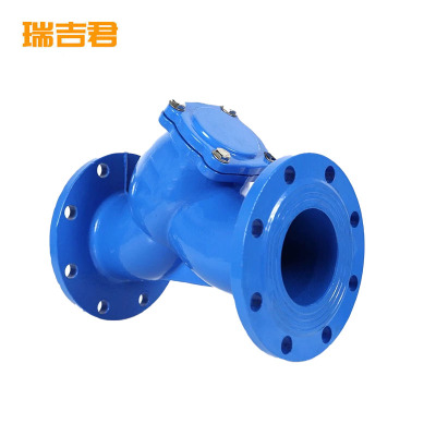 瑞吉君 铸铁法兰Y型过滤阀 DN100 个