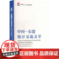 中国-东盟统计交流文萃 携手东盟 10+1 统计合作发展论坛组委会 编 统计 审计经管、励志 正版图书籍 中国统计出版社