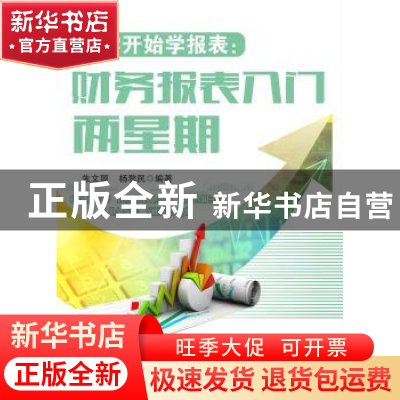正版 从零开始学报表:财务报表入门两星期 朱文丽,杨黎民编著 广