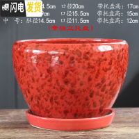 三维工匠北欧简约花盆陶瓷大号带托盘蝴蝶兰创意兰花绿萝绿植多肉花盆 S1CZ-富贵红单个 中等花盆容器