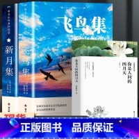 飞鸟集+新月集+你是人间的四月天[3册] [正版]飞鸟集泰戈尔诗选双语全2册 飞鸟集+新月集英汉对照双语版 生如夏花泰戈
