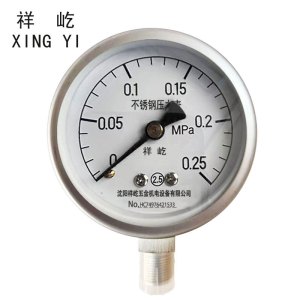 祥屹+不锈钢压力表检测定制型+Y60BF +块