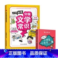 2册 分级文学常识(黄色)+小古文100篇 [正版]抖音同款小学生必背分级文学常识 1-6年级小学生*背文学常识大全中