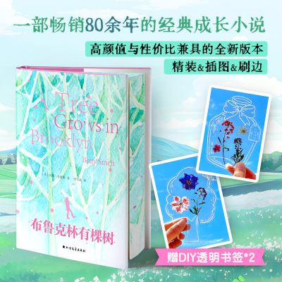 正版新书]布鲁克林有棵树(美)贝蒂·史密斯 著 田雪凌 译97875317