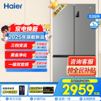 海尔(Haier)539L大容量三档变温黑金净化一级双变频WIFI智能联网旗舰新品 BCD-539WGHTDEDH9U1