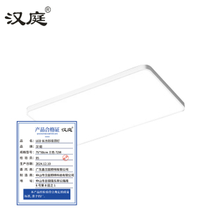 汉庭 LED长方形吸顶灯