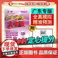 2025新版广东中考大考卷化学高分突破大考卷初三总复习化学押题卷高分突破店