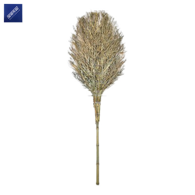 安居先森马路环卫大笤帚扫帚扫把 竹柄5斤款 原竹黄青色