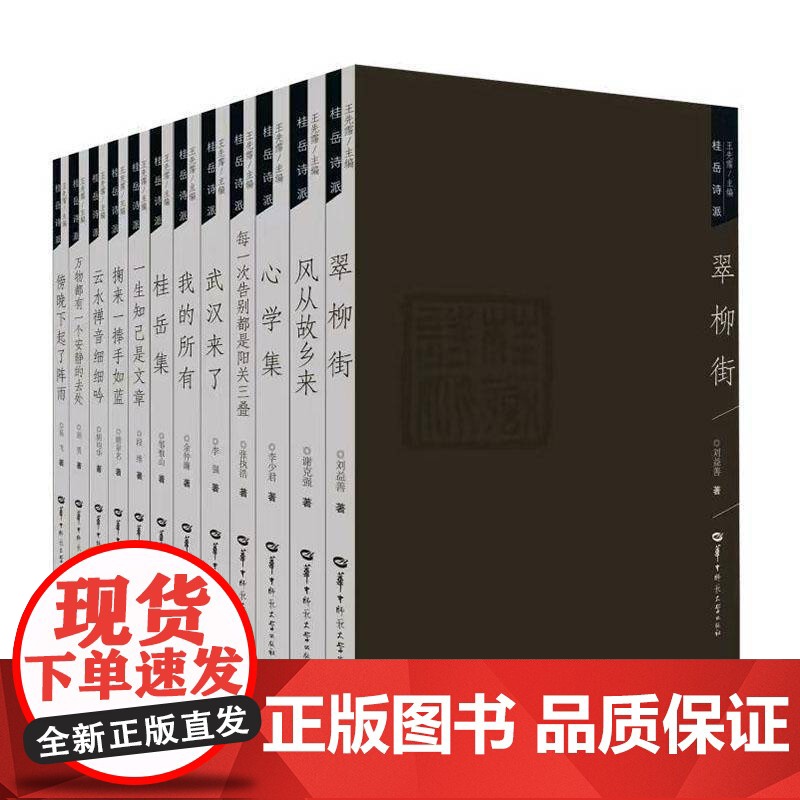 桂岳诗派王先霈文学书籍