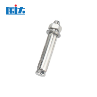 围达 膨胀螺丝 M12*100 包