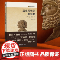 历史写作的新视野 彼得·伯克 著 历史