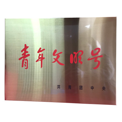 春羽宏博 奖牌 35*50cm J346/块