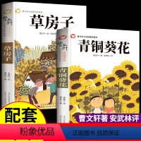 [正版]2册 草房子和青铜葵花 原著完整版 曹文轩著 小学三至四五六年级下册阅读课外书老师看的书籍小学生必读书目下学期