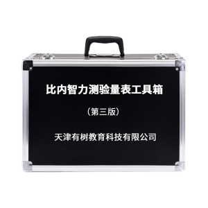 有树 YSXL-BN01 比内智力测验量表第三版减压工具箱专业早教教具