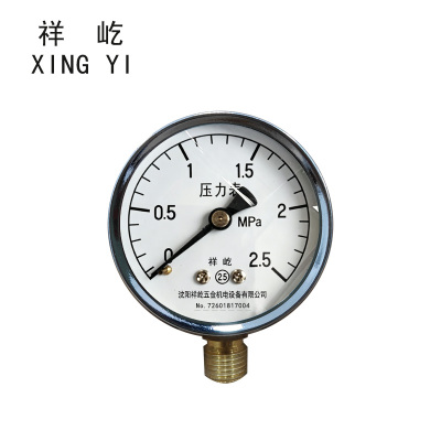 祥屹 压力表 Y60 0-2.5Mpa 块