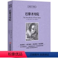 [中英互译]巴黎圣母院 [正版]中英双语金银岛书中英文双语名著读物英汉对照互译小说 斯蒂文森原著 读名著学英语 高中生初