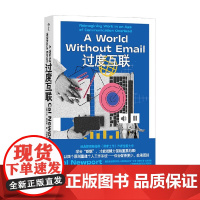 过度互联 卡尔·纽波特 著 管理