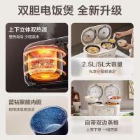 苏泊尔(SUPOR)电饭煲 家用宿舍用电饭锅 2.5L双胆 双热源立体加热SF25TC0052