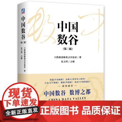 中国数谷(第二版)