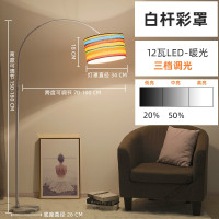 苏宁放心购 落地灯卧室床头温馨可调光简约现代遥控LED客厅北欧ins风立式台灯
