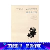 [正版]战争飞行员