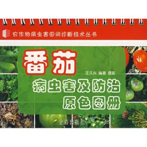 正版新书]番茄病虫害及防治原色图册王久兴9787508244365