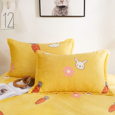 SleepyBear法兰绒加绒枕套珊瑚绒枕头套4874单人枕皮1只一对装短毛绒枕芯套