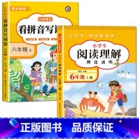 [六年级上册]看拼音写词语+阅读理解 小学六年级 [正版]看拼音写词语六年级下册 语文小学注音生字拼音拼读字词6年级上汉