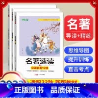 全套3册]中考名著速读导读必读12部+24部+中考名著真题全刷 [正版]九年级下格列佛游记原著无删减完整版初三初中生必读