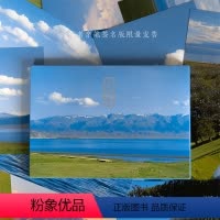 [正版]岁月如歌 摄影师@七号新疆伊犁赛里木湖风景摄影作品 安静文艺浪漫清新自然出类艺术明信片创意唯美插画集文创装饰旅