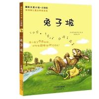 正版新书]靠前大奖小说·注音版?兔子坡罗伯特·罗素9787530759257