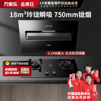万家乐 烟灶厨电套餐装 18立方大风力 侧吸式瞬吸净烟 玲珑小机身吸油烟机 台嵌两用天然气灶AL031+AC5