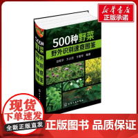 500种野菜野外识别速查图鉴 野菜识别特征实用方法 中医草药材识别图大全 生活常识中草药有毒植物识别图集 自然科学植物学