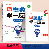 一年级新奥数(全一册) 小学通用 [正版]新奥数举一反三2024小学创新思维一二三年级3四五6年级下册上册数学思维训练小