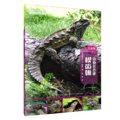 正版新书]动物目击者:楔齿蜥(儿童版)[美] 丽贝卡·E.赫希 焦