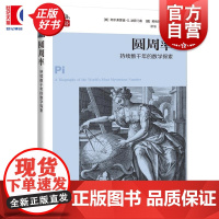圆周率:持续两千年的数学探索 数学桥丛书第三辑 阿尔弗雷德S波萨门蒂著英格玛莱曼上海科技教育出版社自然科学数学学生读物
