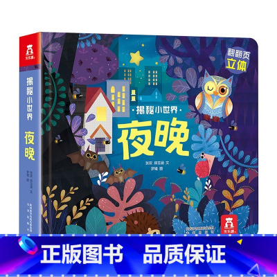 揭秘小世界第二辑 夜晚 [正版]揭秘小世界立体版夜晚 0-3岁低幼宝宝情景体验认知艺术绘本 洞洞翻翻立体趣味知识科普 早