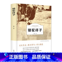 [正版]骆驼祥子 原著老舍著七年级下册初中生青少年课外阅读完整版 世界名著书籍译林名人传有声伴读书