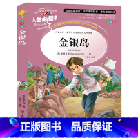 [正版] 人生书《金银岛》 儿童书籍 名师点评 世界经典文学名著 小学生课外阅读 青少年版彩图插画 7-10-12岁儿童