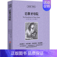 [中英双语]巴黎圣母院 [正版]中英双语大卫科波菲尔狄更斯英汉互译中英对照 经典世界名著英文版外国文学小说 高中生初中生