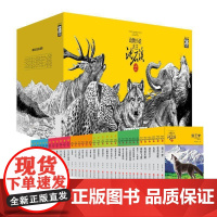动物小说大王沈石溪品藏书系 经典礼盒装(升级版 套装共36册) 浙江少年儿童出版社