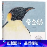 帝企鹅 [正版]帝企鹅 精装硬壳绘本 南极科普纪录片儿童绘本自然亲子读物生命故事书3-8岁极地迁徙早教少儿图画书生命传承