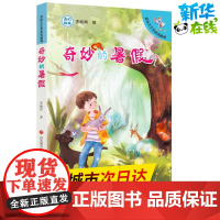 奇妙的暑假 李岫青 著 著 儿童文学少儿 正版图书籍 济南出版社