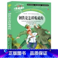 [正版] 钢铁是怎样炼成的 人生书 小学生课外书读物7-10-12岁儿童文学故事书籍 钢铁是怎么炼成的原著 初中青少年版