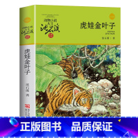 虎娃金叶子 [正版]沈石溪动物小说品藏书系列全集36册 斑羚飞渡第七条猎狗后一头战象雪豹悲歌珍藏版全套画本生肖