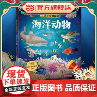 手电筒探秘 海洋动物