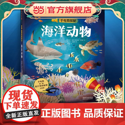 手电筒探秘 海洋动物