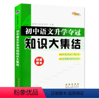 [正版]初中语文升学夺冠知识大集结 初中七八九年级语文基础知识大全 初升高毕业总复习升学复习资料 长春出版社