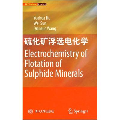 正版新书]硫化矿浮选电化学胡岳华 孙伟 王淀佐9787302188186